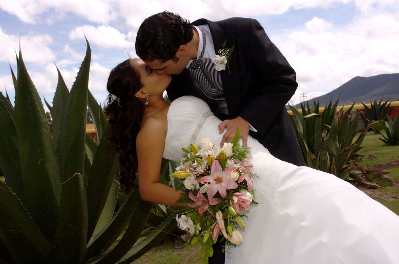 Bodas