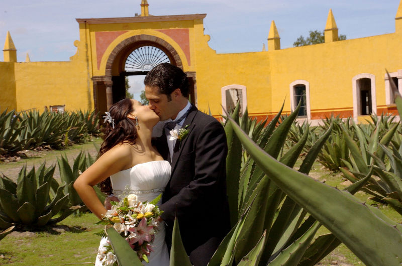 Bodas