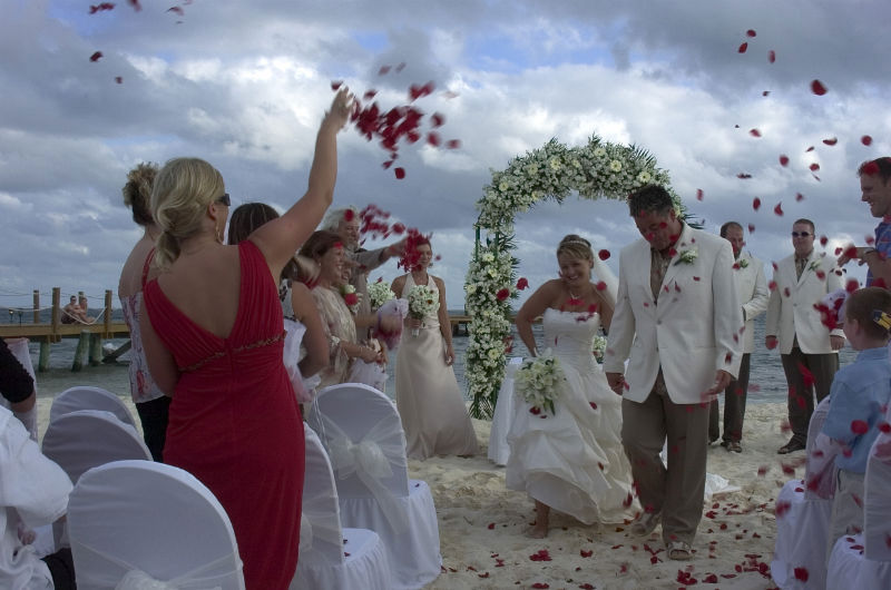 Bodas